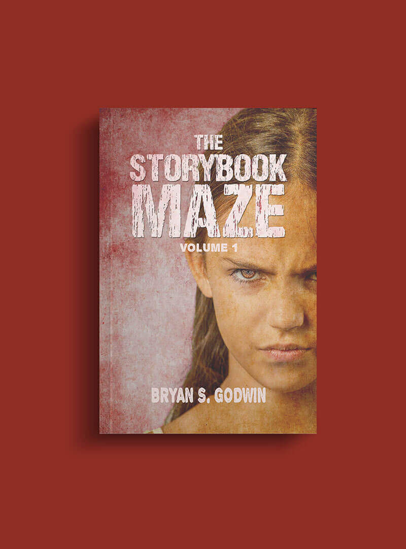 the storybook maze book cover